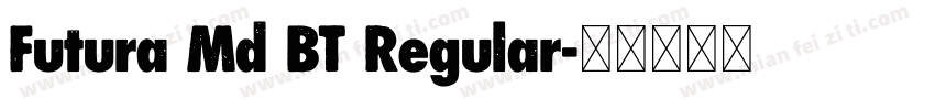 Futura Md BT Regular字体转换
